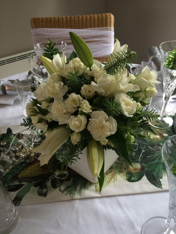 Firth Street Mews B&B Matamata Εξωτερικό φωτογραφία