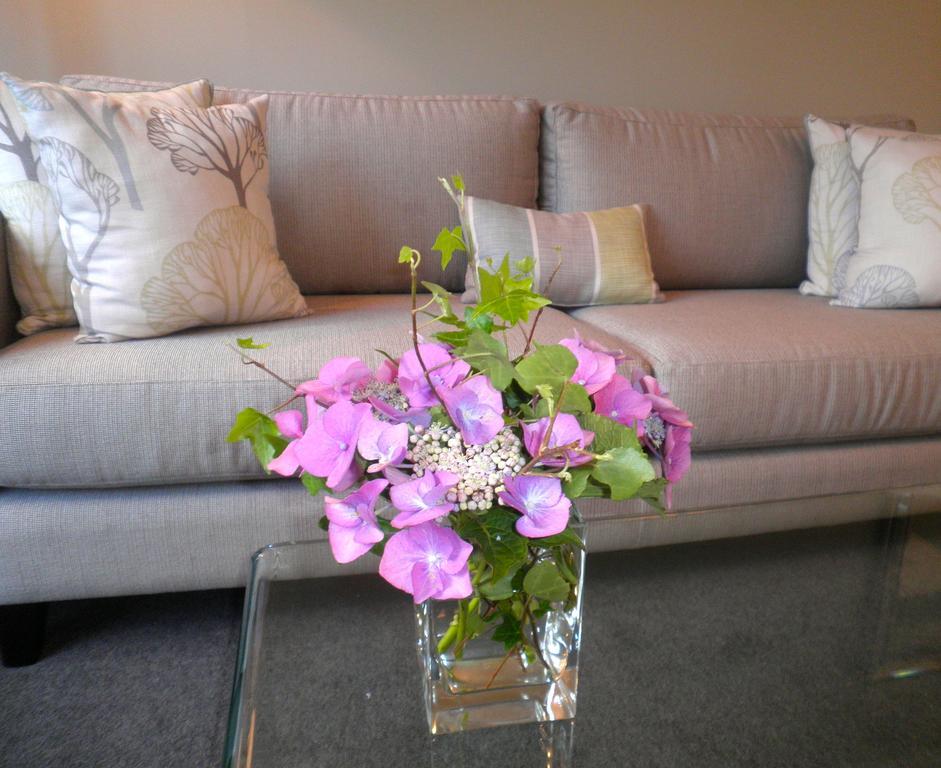 Firth Street Mews B&B Matamata Εξωτερικό φωτογραφία